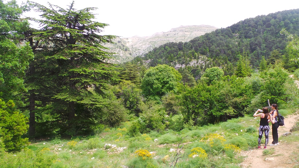 Ehden